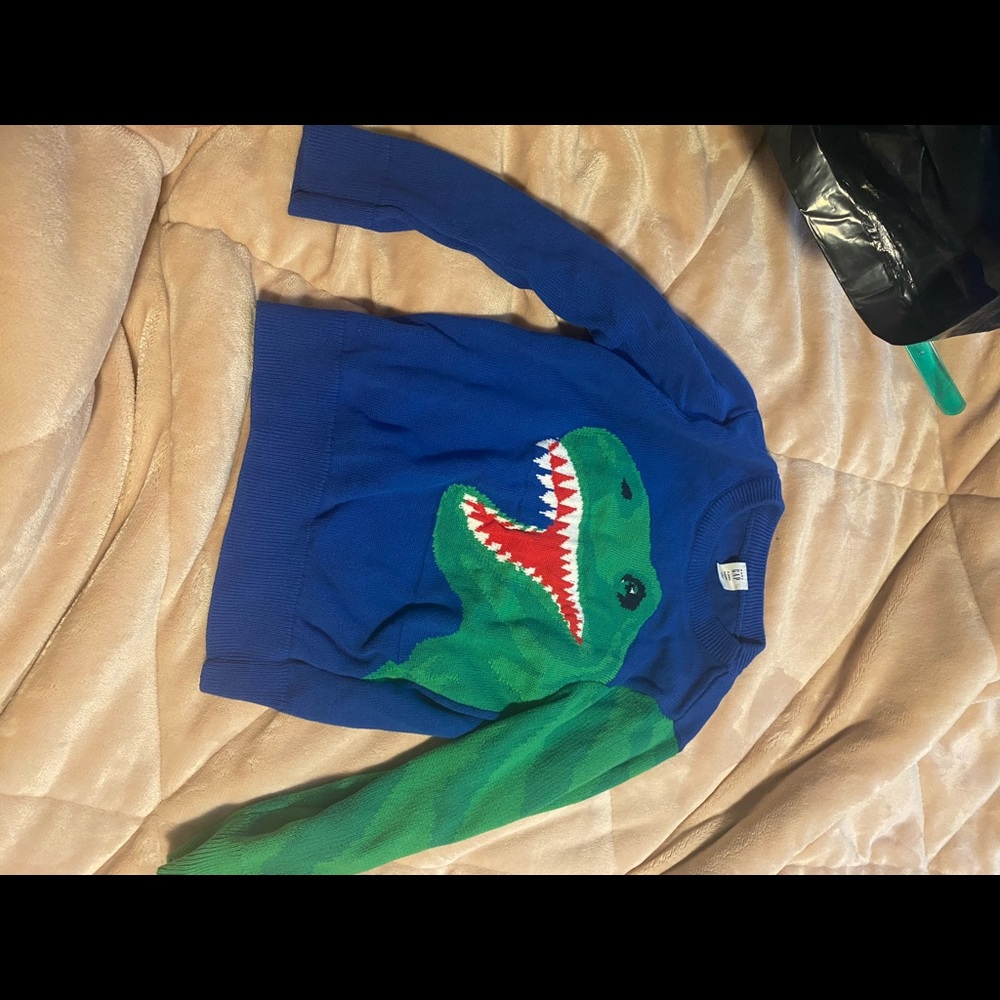 Toddler dinosaur sweater